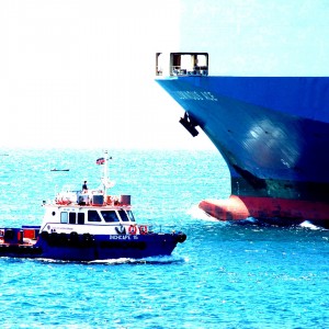 INCHCAPE SHIPPING SERVICES